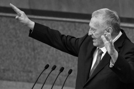 Владимир жириновский жестикуляция