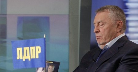 Жириновский арт