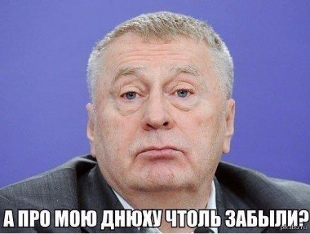 Жириновский владимир вольфович