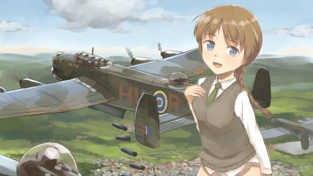 Эрика хартманн штурмовые ведьмы