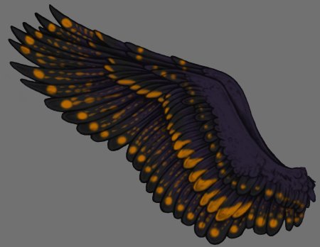 Сложенные крылья