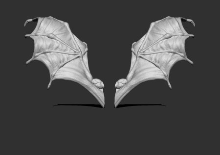 Крыло дракона