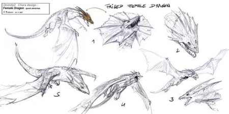 Дракон виверн референс