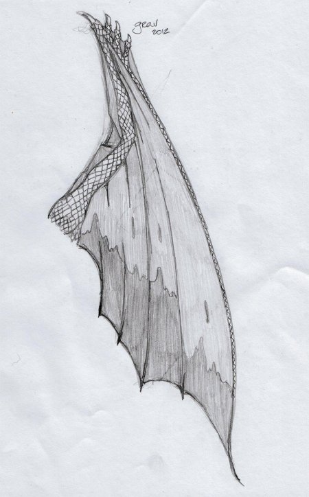 Крылья сбоку драконьи