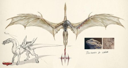 Дивинити кровь драконов арт