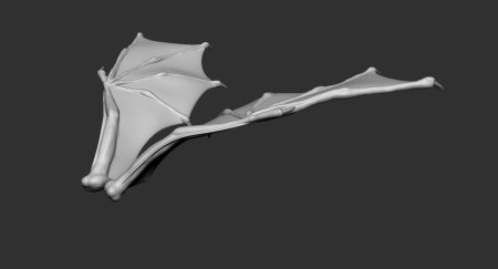 Дракон d модель