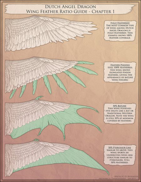 Крыло птицы туториал