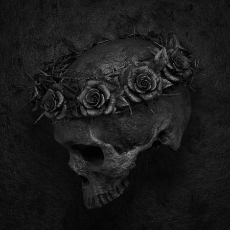 Череп эстетика