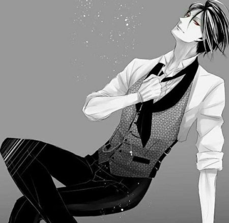 Себастьян михаэлис