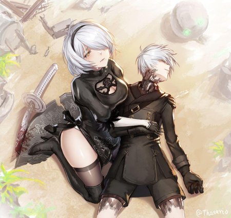 Nier automata b и s