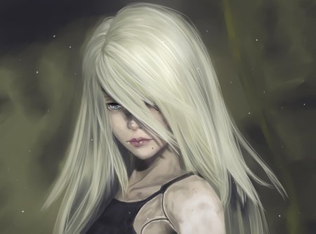 A2 nier