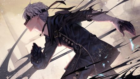 9s nier