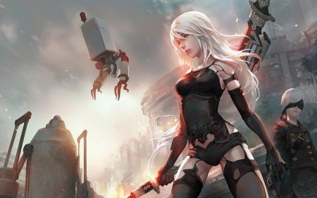A2 nier
