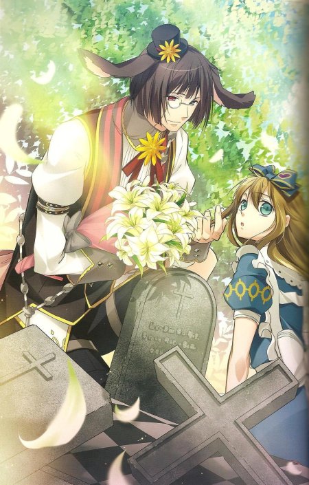 Алиса в стране сердец расчудесный мир чудес