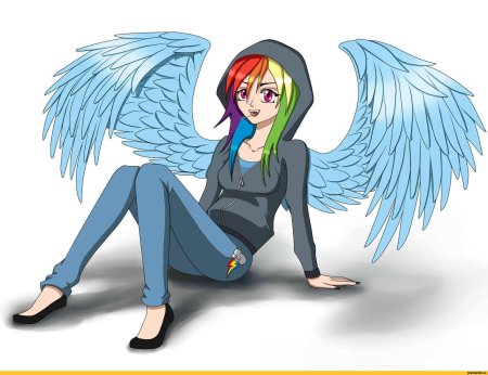 Арты Рэйнбоу Дэш в человеческом виде