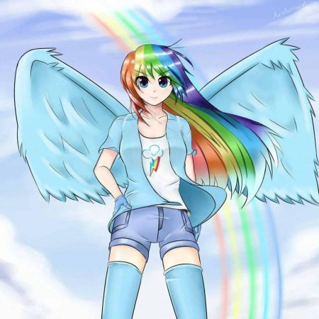 Рейнбоу дэш человек