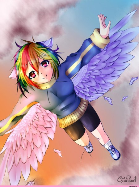 Рейнбоу дэш человек