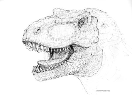 Тираннозавр рекс карандашом