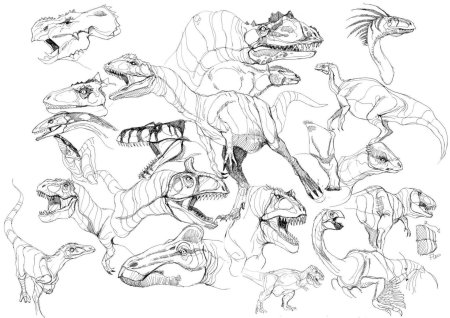 Ютараптор референс анатомия