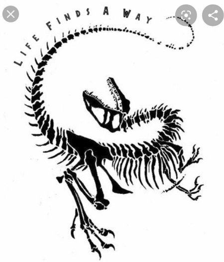 Парк юрского периода велоцираптор скелет