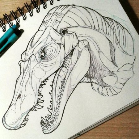 Динозавр эскиз
