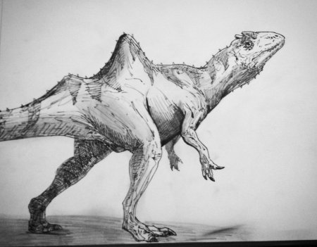 Конкавенатор динозавр