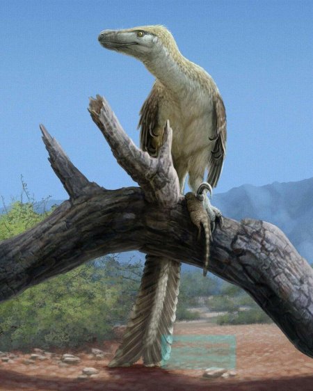 Velociraptor mongoliensis