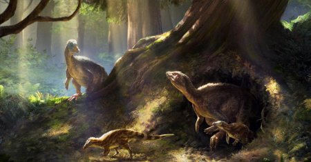 Овираптор динозавры мелового периода