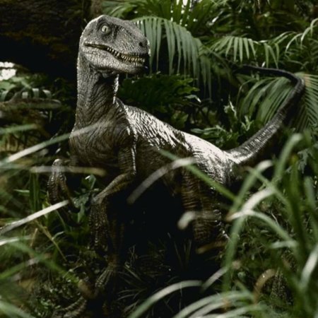 Парк юрского периода велоцираптор