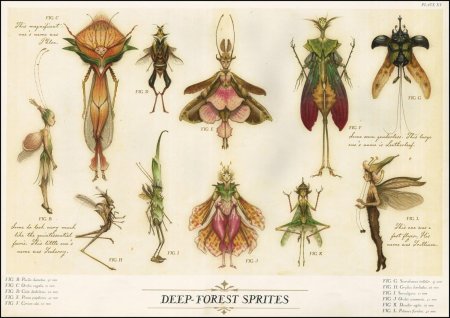 Спайдервик феи