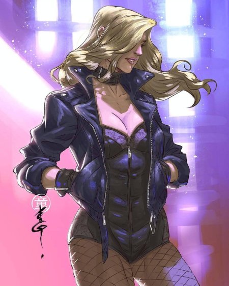 Дина лэнс чёрная канарейка