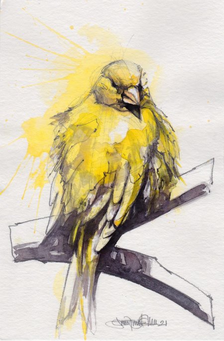 Птица акварель