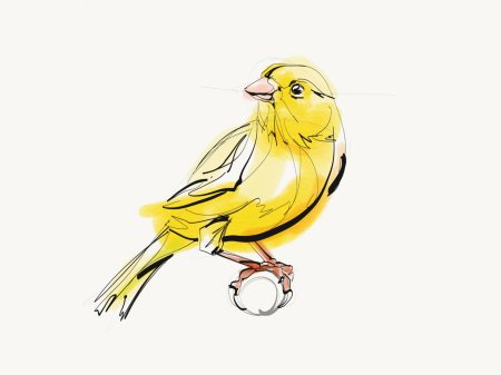 Бианки музыкальная канарейка