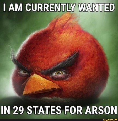 Реалистичные птицы энгри бердз