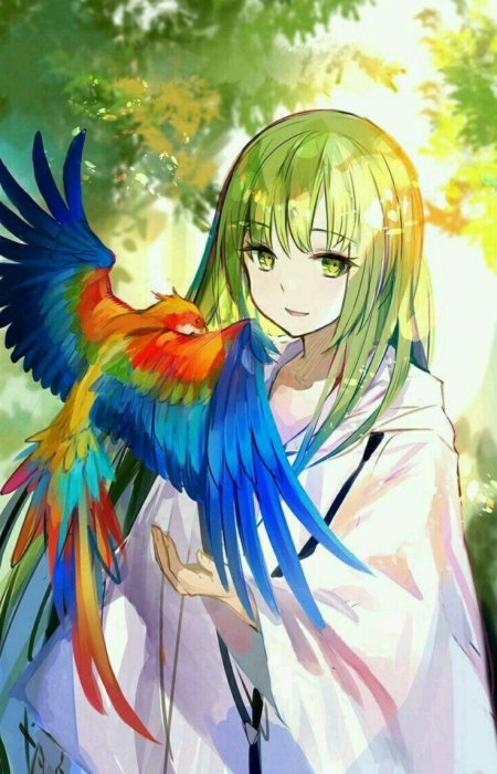 Волнистый попугайчик аниме