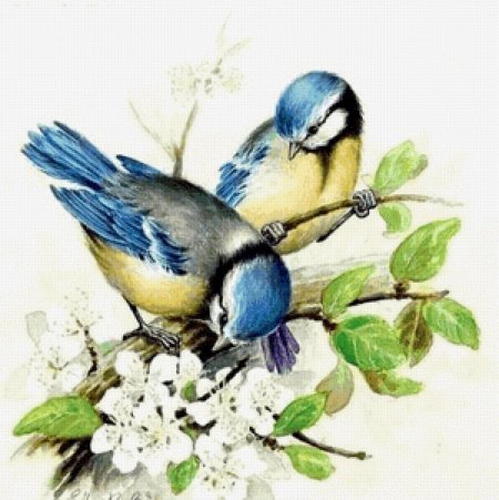 Акварельные птицы