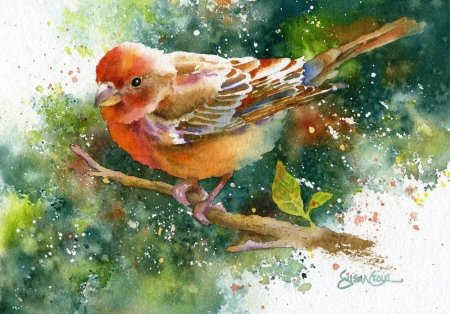 Художница susan crouch.акварель.