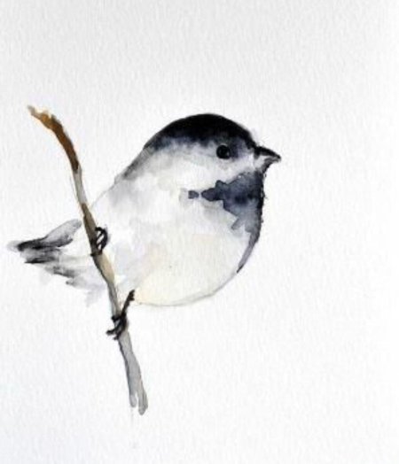 Арты белой птички