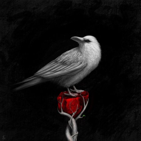 Белая ворона