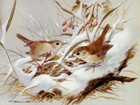Птицы художника basil ede