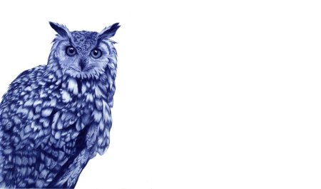 Сова рисунок ручкой