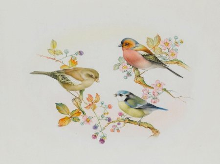 Птички для декупажа