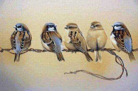 Воробей на ветке