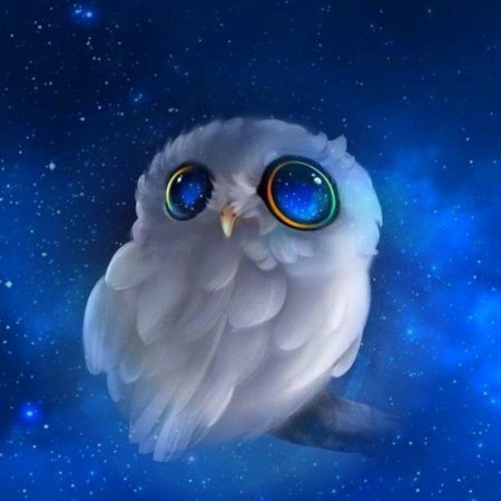 Спокойной ночи сова