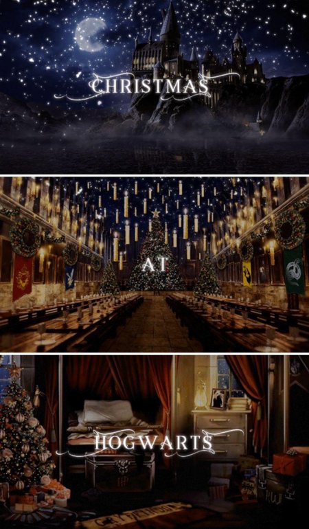 Гарри поттер хогвартс рождество