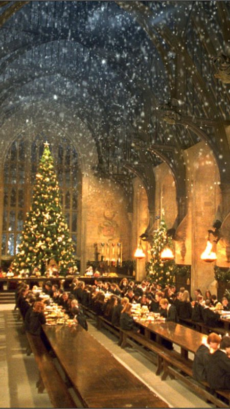 Гарри поттер и философский камень рождество в хогвартсе