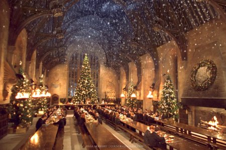 Гарри поттер хогвартс рождество