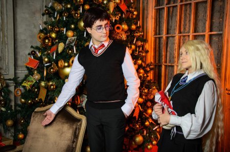 Новый год в стиле гарри поттера