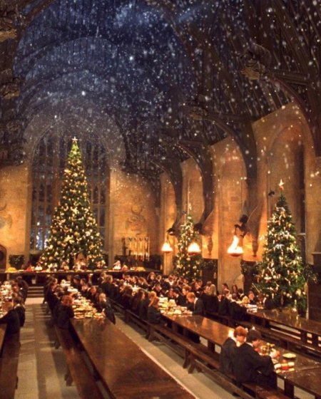 Гарри поттер рождество в хогвартсе