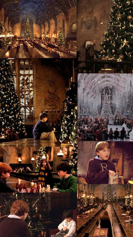 Гарри поттер рождество